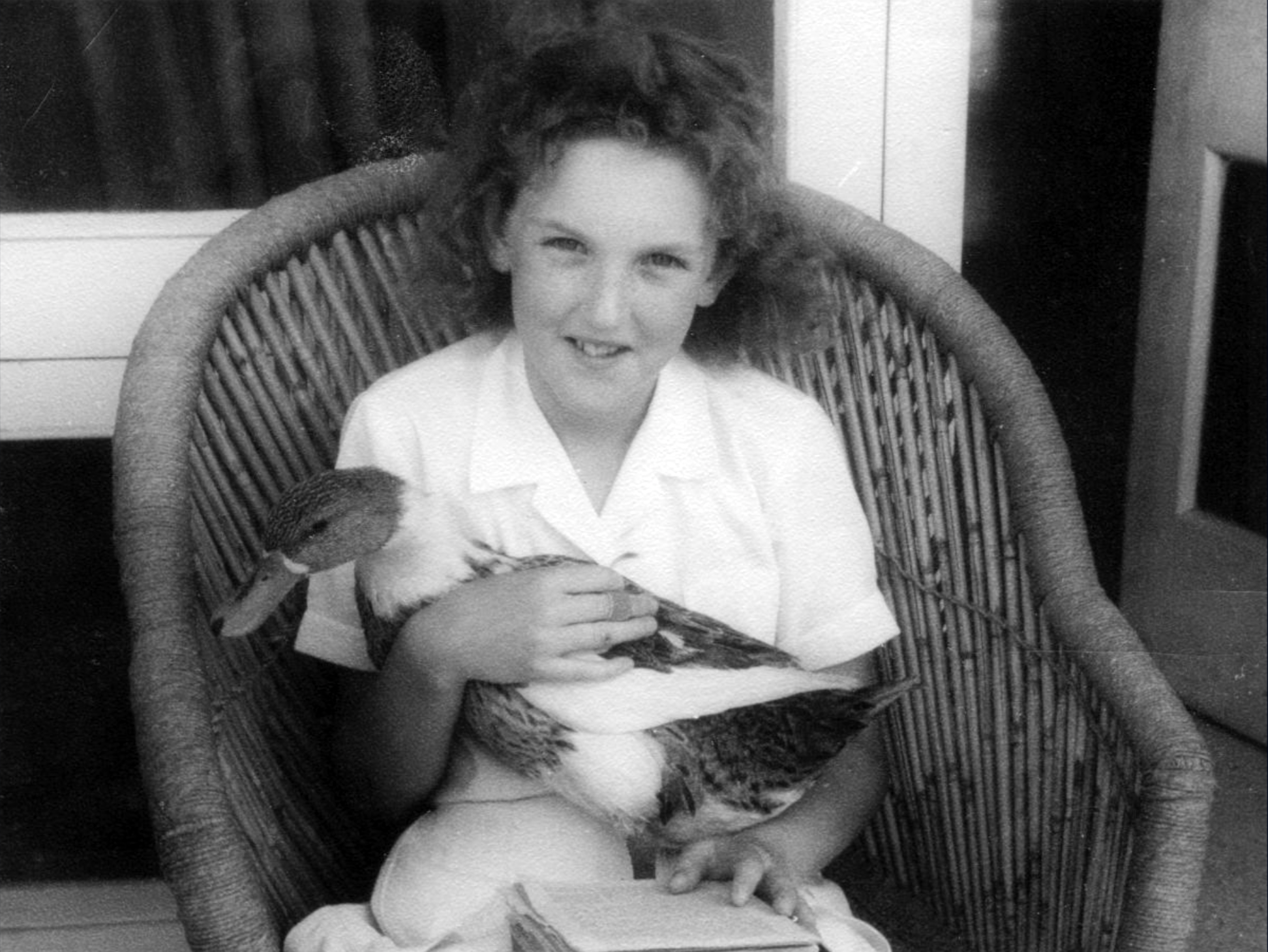 Συνέντευξη Iνγκριντ Nιούκερκ στην «Κ»: Αν μπεις στο φορτηγό για το σφαγείο…-2