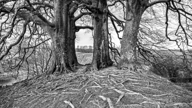 οικονομικός-πόλεμος-στη-μέση-γη-562841185