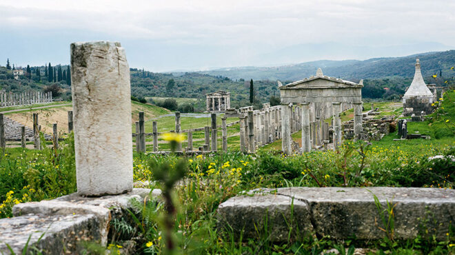 ενα-νέο-μουσείο-με-προίκα-19-000-ευρήματα-562856755