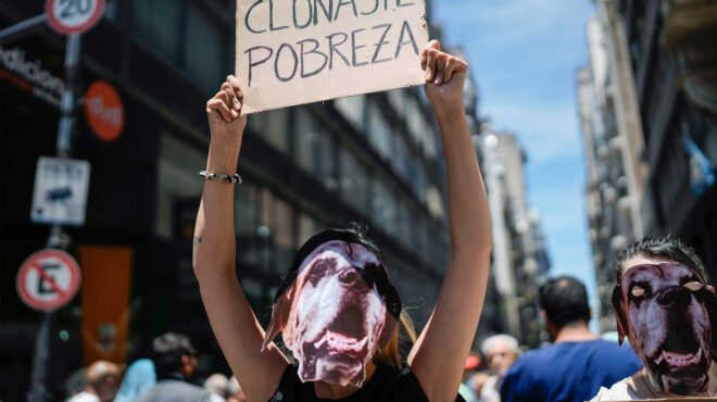 πώς-και-γιατί-ο-πρόεδρος-της-αργεντινή-562857034