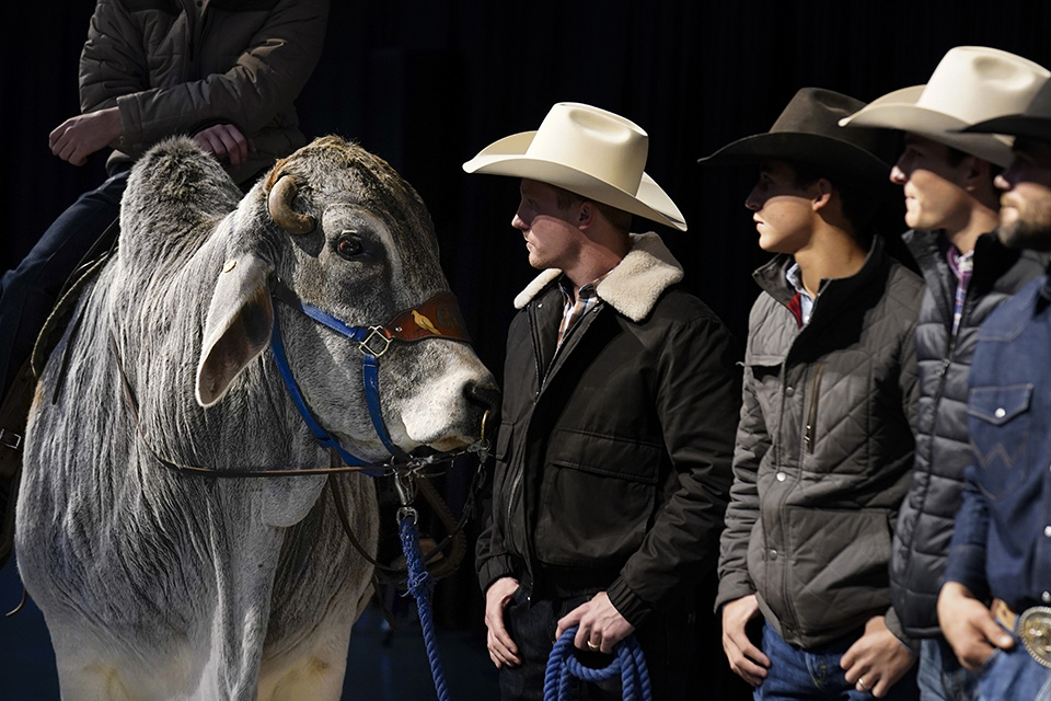 Σκαντζόχοιροι και κλιματική αλλαγή-4