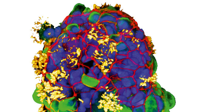 τι-είναι-τα-ανθρωμπότ-και-πώς-θα-αλλά-562843927