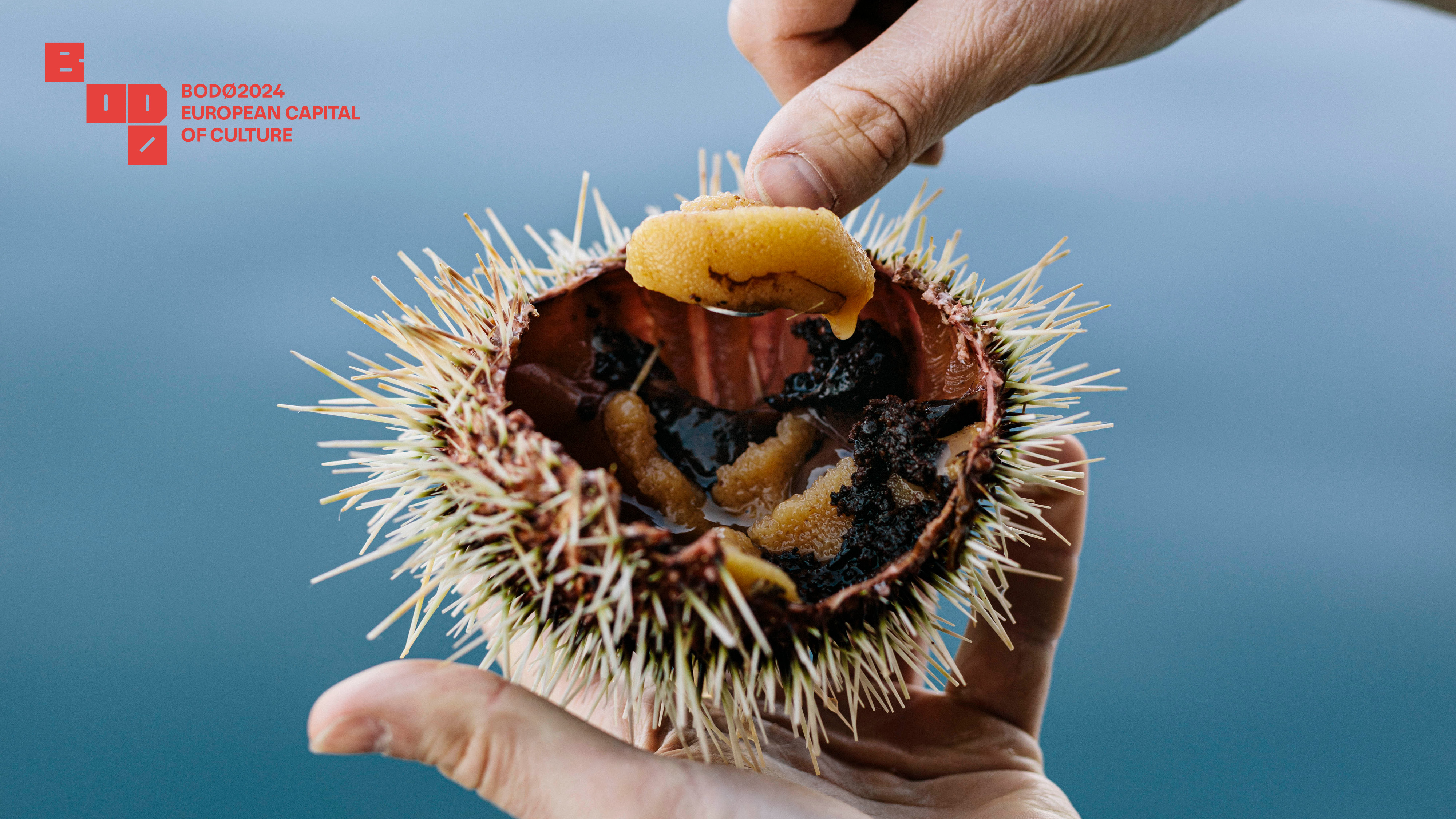 Μπόντο: Μία πολιτιστική πρωτεύουσα στα βόρεια του Αρκτικού Κύκλου-4