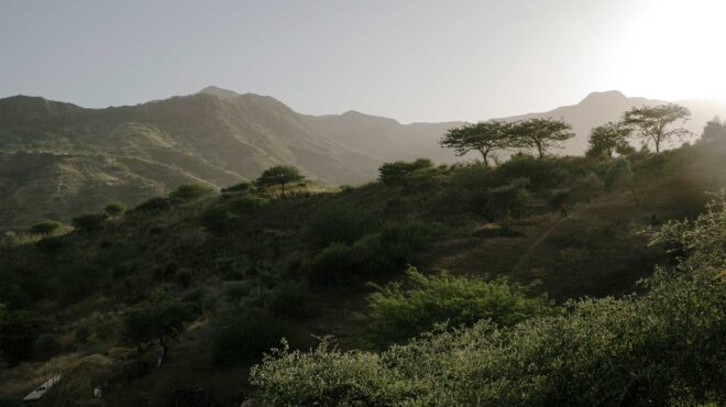 πράσινο-ακρωτήριο-ενα-αλλιώτικο-οδοι-562836307