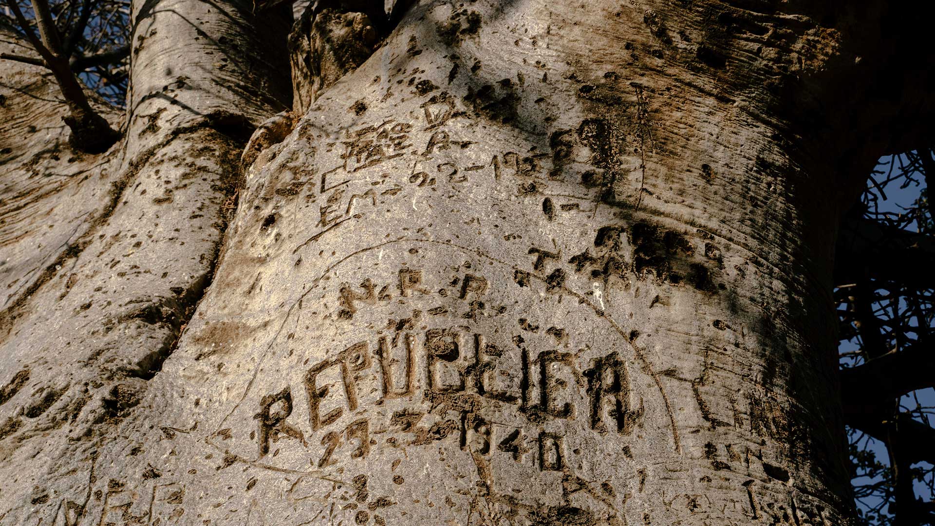 Πράσινο Ακρωτήριο: Ενα αλλιώτικο οδοιπορικό στα ίχνη του Καρόλου Δαρβίνου-11