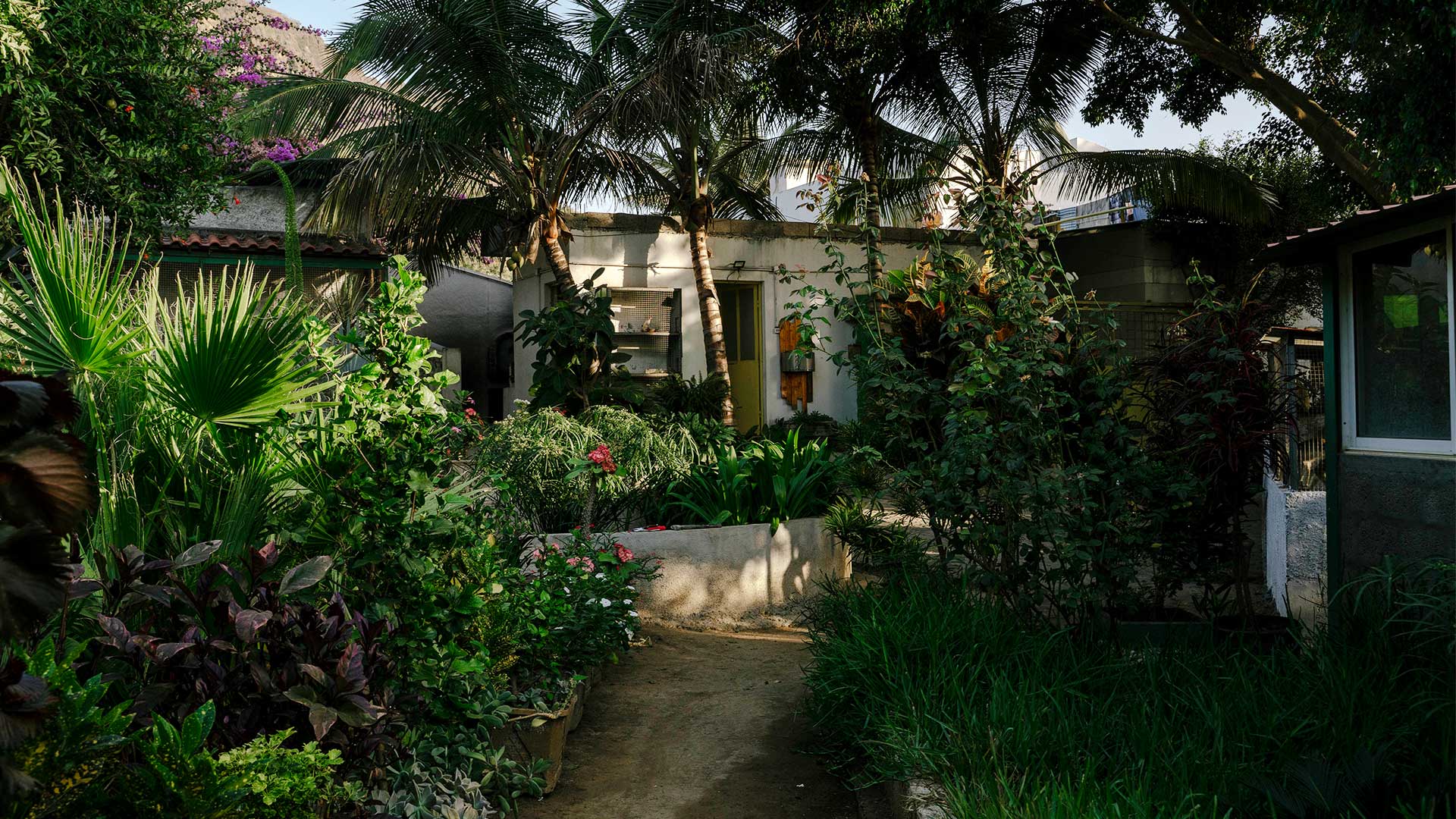 Πράσινο Ακρωτήριο: Ενα αλλιώτικο οδοιπορικό στα ίχνη του Καρόλου Δαρβίνου-10