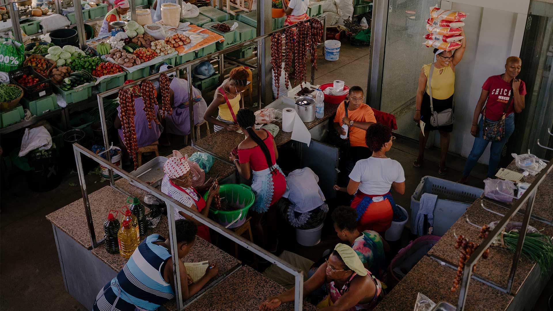 Πράσινο Ακρωτήριο: Ενα αλλιώτικο οδοιπορικό στα ίχνη του Καρόλου Δαρβίνου-1