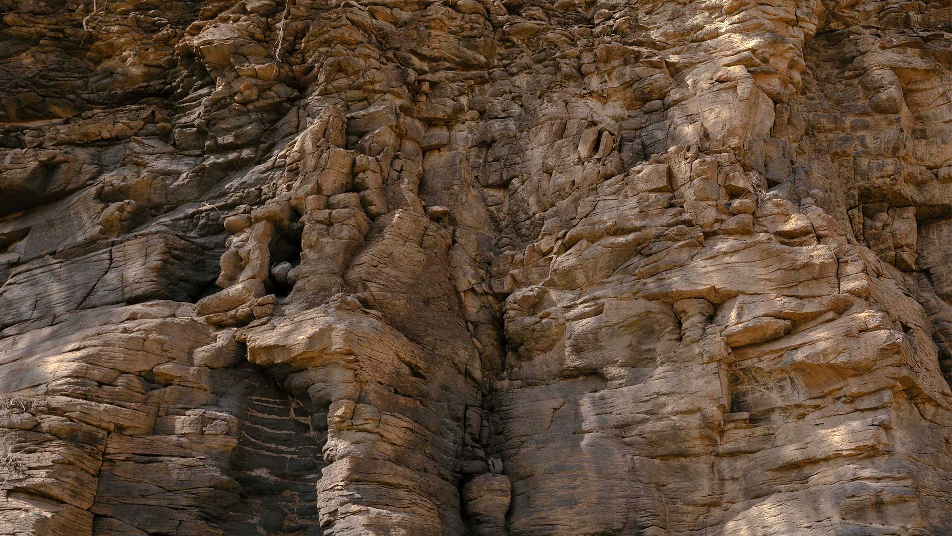 Πράσινο Ακρωτήριο: Ενα αλλιώτικο οδοιπορικό στα ίχνη του Καρόλου Δαρβίνου-6