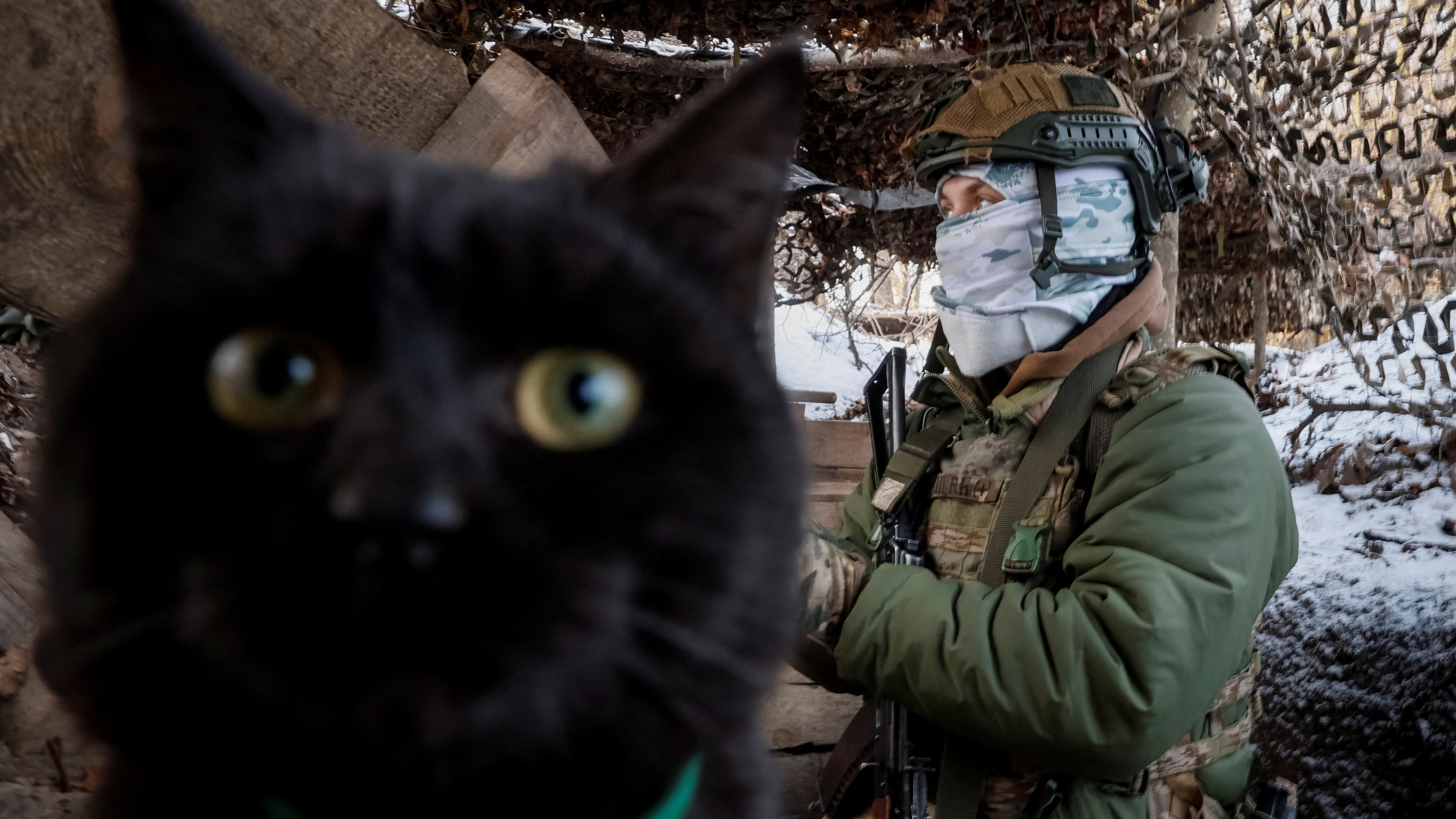 Οι γάτες του ουκρανικού μετώπου-1