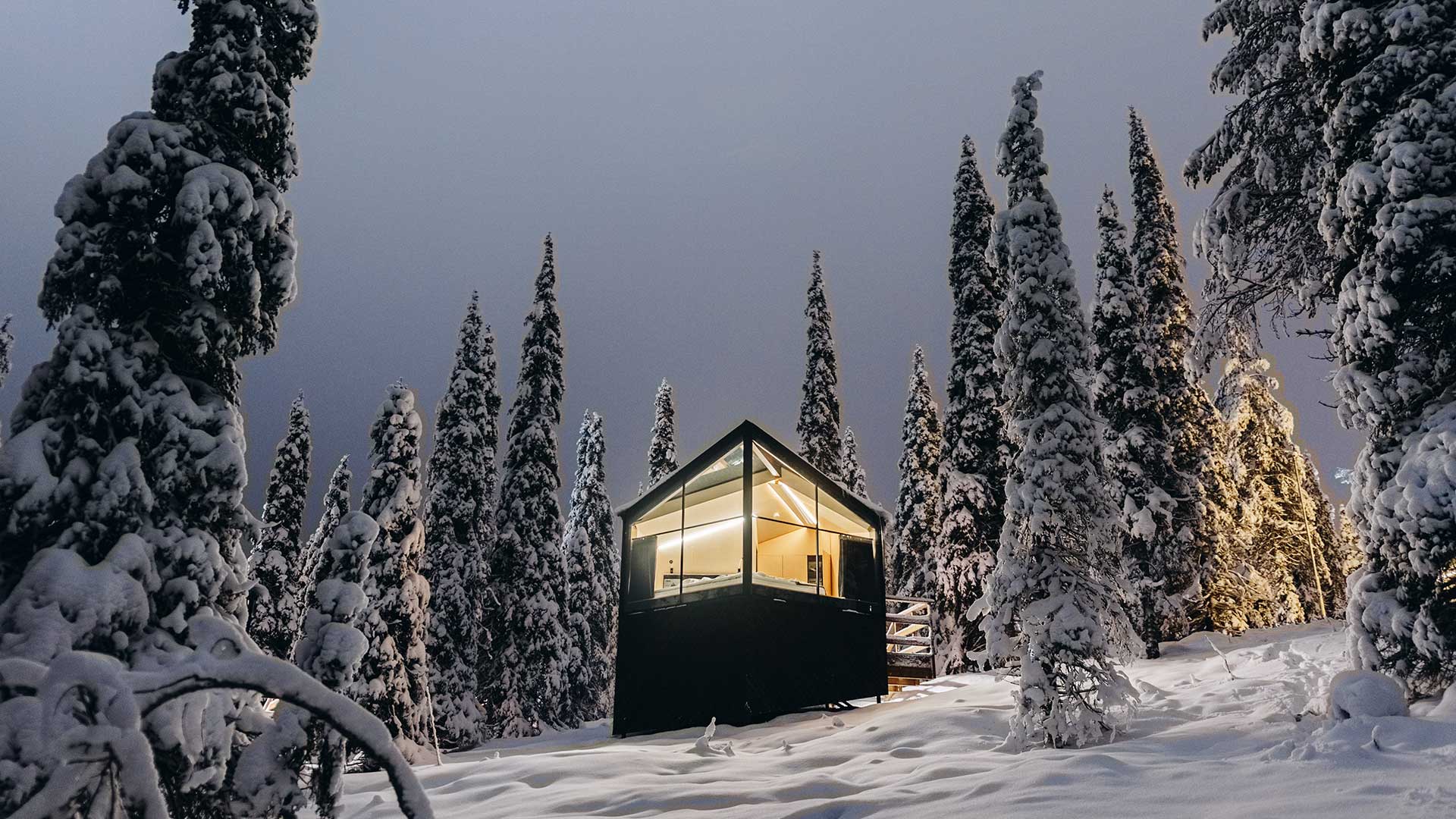 Από τα διάφανα ιγκλού στο βασίλειο της σιωπής-3