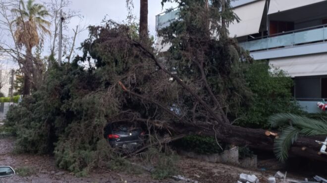 κακοκαιρία-πτώσεις-δέντρων-σε-φιλοθέ-562817629