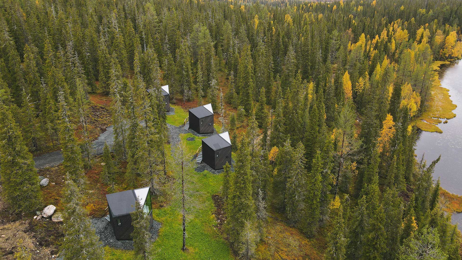 Από τα διάφανα ιγκλού στο βασίλειο της σιωπής-5