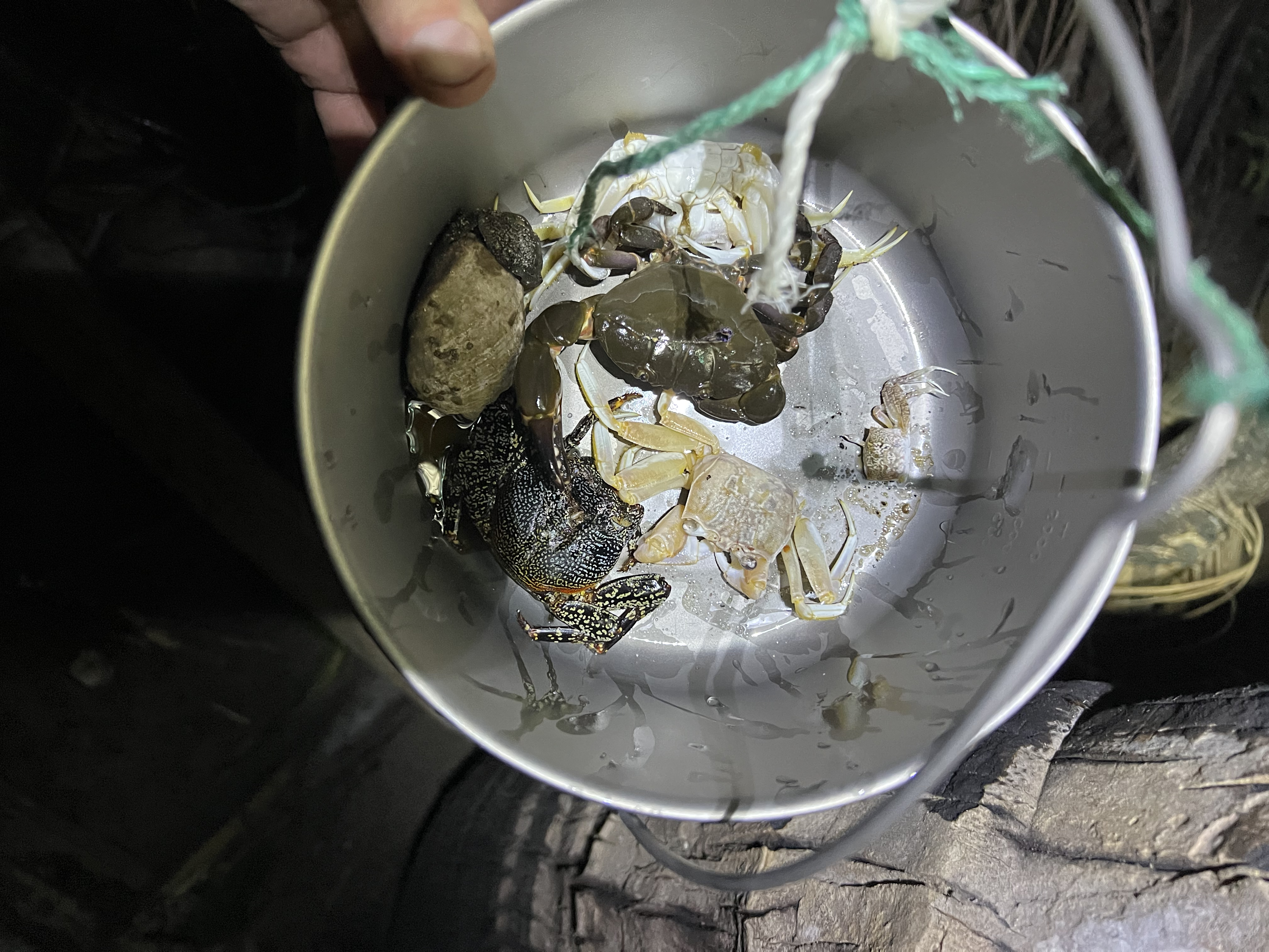 Ναυαγοί με τη θέλησή τους – Σύγχρονοι Ροβινσώνες μιλούν στην «Κ»-11