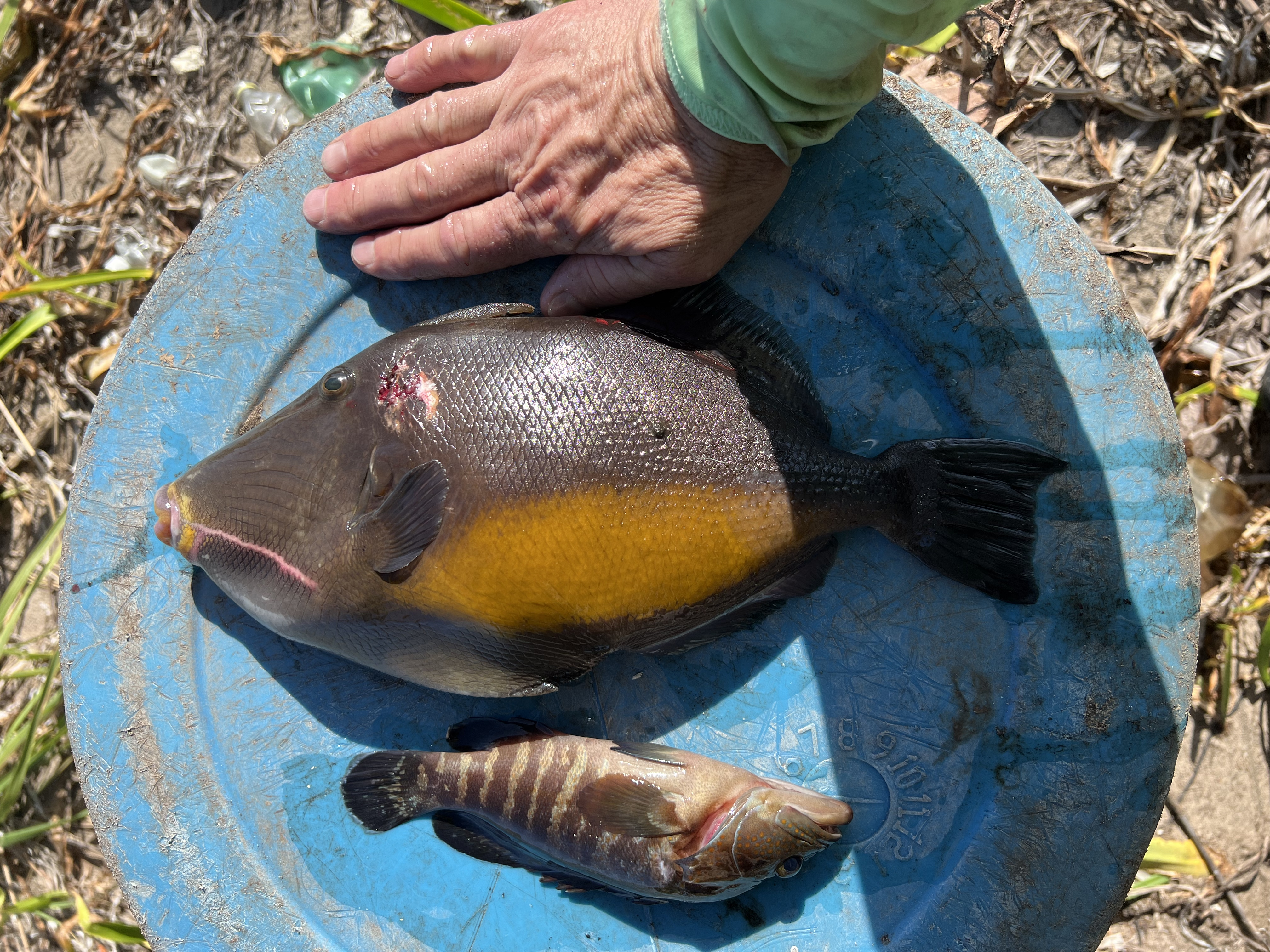 Ναυαγοί με τη θέλησή τους – Σύγχρονοι Ροβινσώνες μιλούν στην «Κ»-10