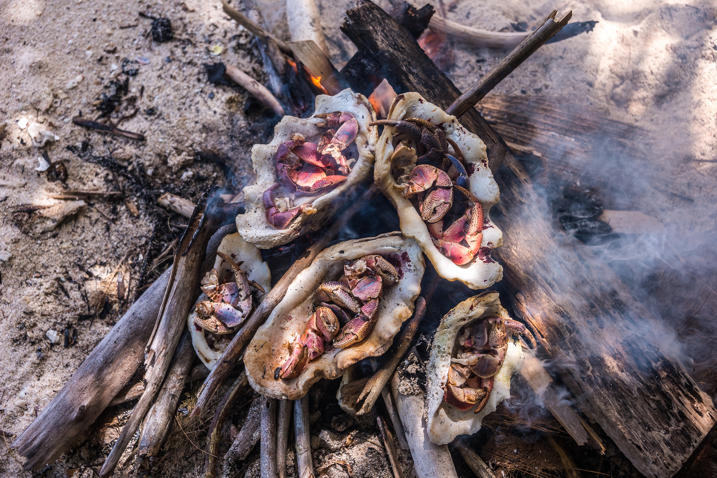 Ναυαγοί με τη θέλησή τους – Σύγχρονοι Ροβινσώνες μιλούν στην «Κ»-3