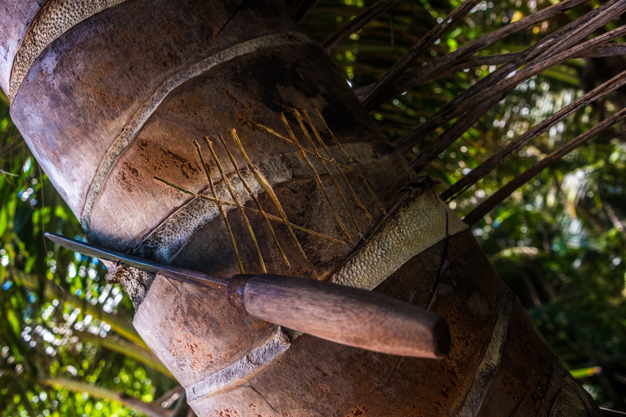 Ναυαγοί με τη θέλησή τους – Σύγχρονοι Ροβινσώνες μιλούν στην «Κ»-5