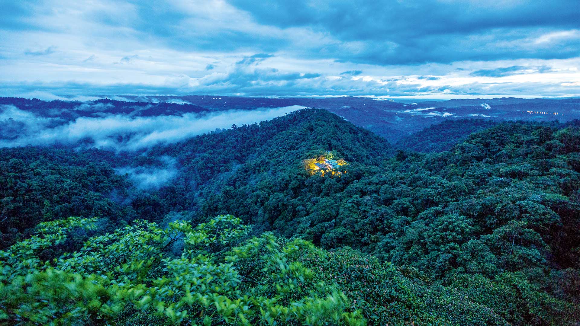 Οταν η πολυτελής διαμονή συναντά τα τροπικά δάση-2