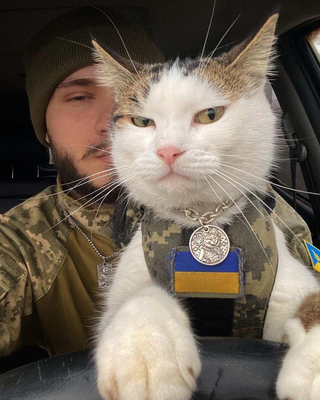 Οι γάτες του ουκρανικού μετώπου-3
