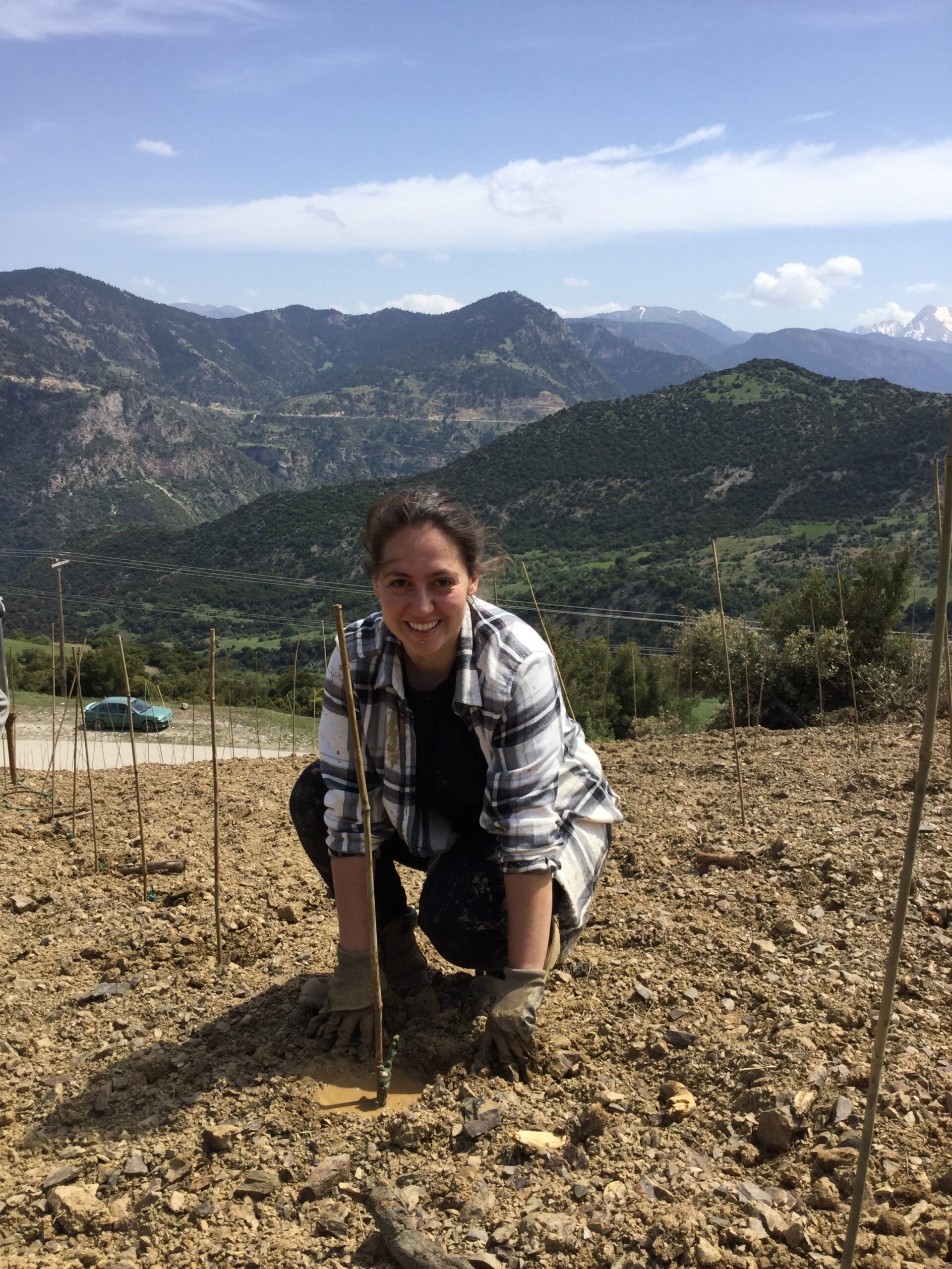 οι-σύγχρονοι-ήρωες-της-αμπελουργία-562848214