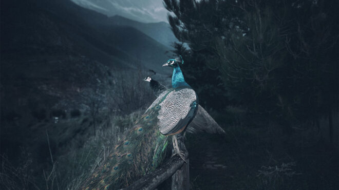 πού-βγαίνουμε-σήμερα-πέμπτη-προτάσει-562835803