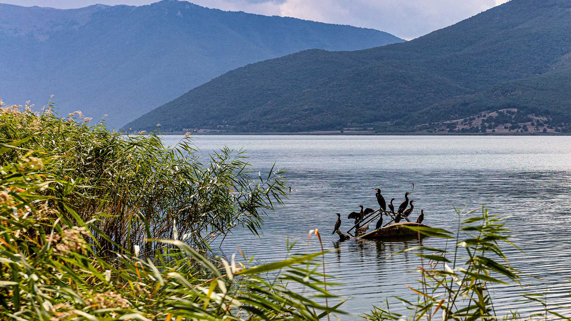 Πρέσπες: Εκεί που το φυσικό κάλλος συναντά το ιστορικό βάρος-8