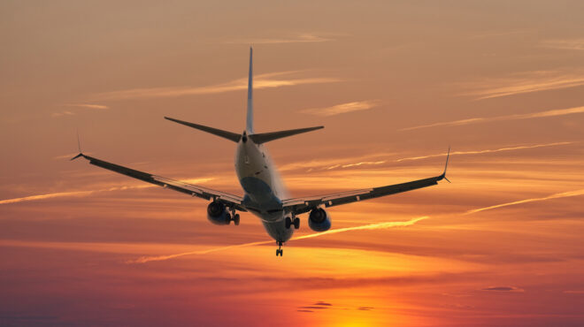 ιαπωνία-επιβάτης-δάγκωσε-αεροσυνοδό-8-562834303