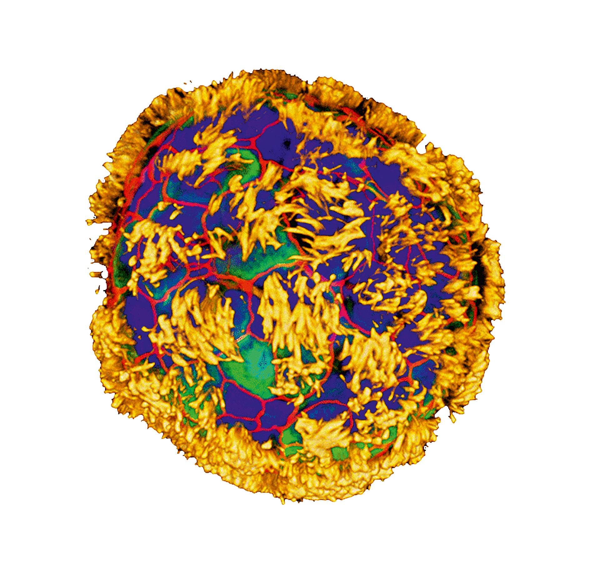 Τι είναι τα «ανθρωμπότ» και πώς θα αλλάξουν την ιατρική-1