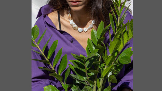 το-ιδανικό-φυτό-εσωτερικού-χώρου-αν-θέ-562850632