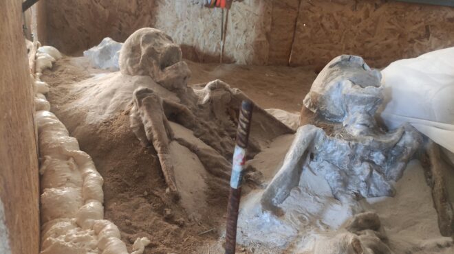 εντός-και-εκτός-ενα-όχι-και-τόσο-αισιόδ-562810765