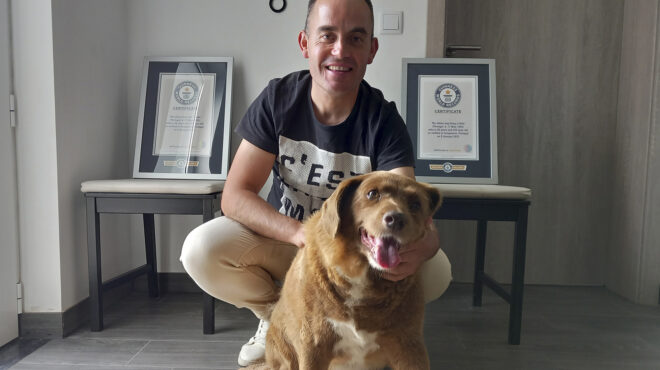 τελικά-έχει-θέση-στο-βιβλίο-γκίνες-ο-μ-562833850