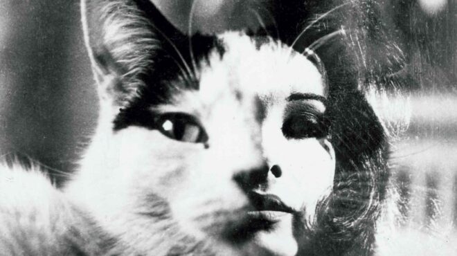 γιατί-είναι-σημαντικές-οι-αναμνήσεις-562838143