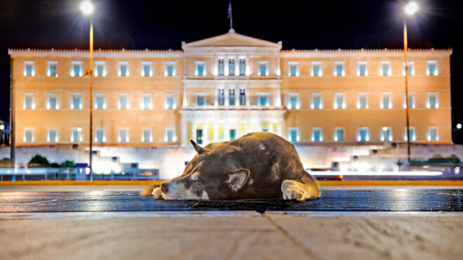 μεταξύ-ιδεολογίας-και-πορτοφολιού-562814275