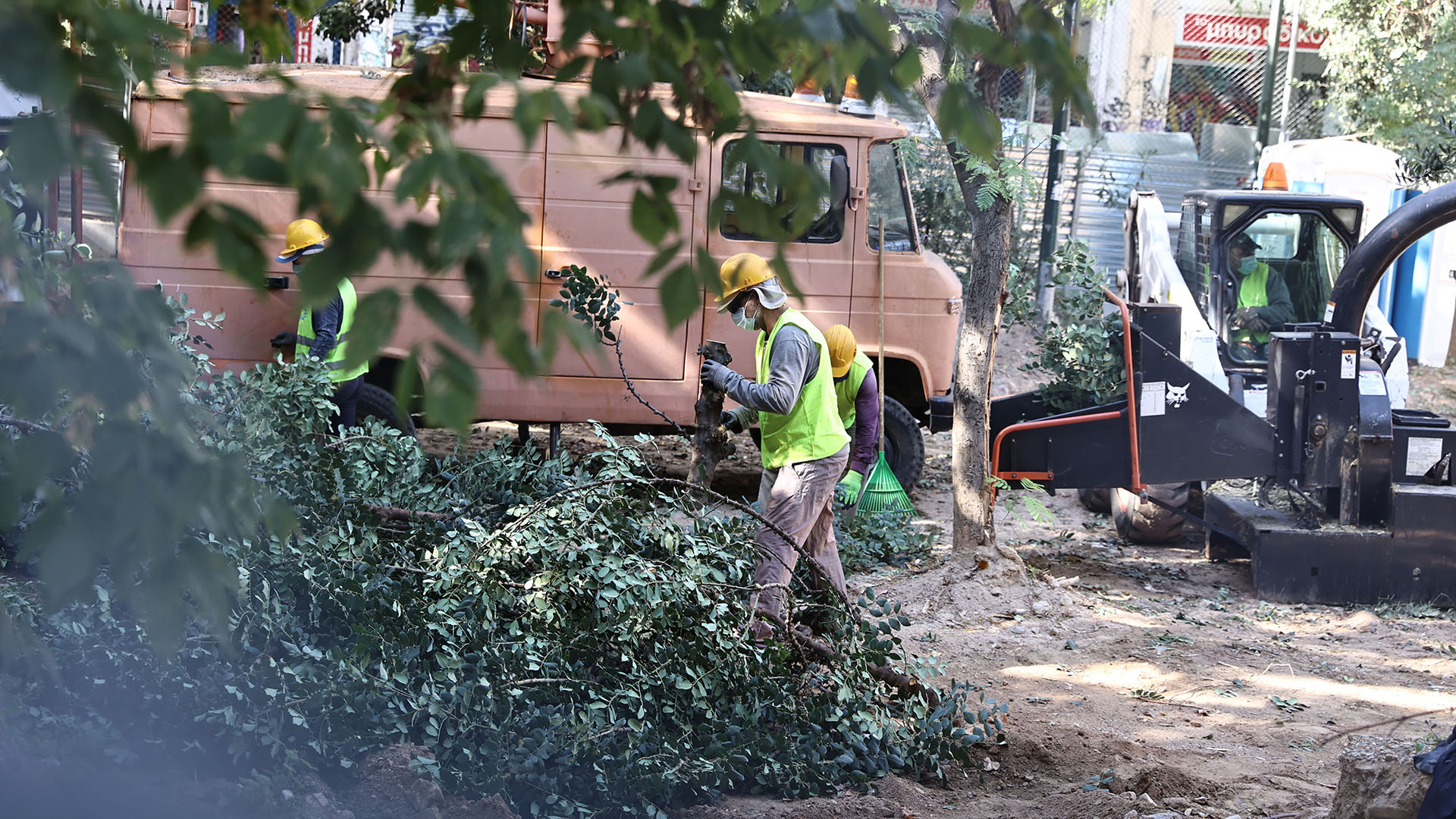 Τι απέγιναν τα δέντρα των Εξαρχείων-2
