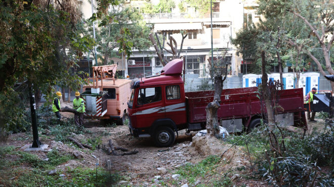 τι-απέγιναν-τα-δέντρα-των-εξαρχείων-562848229