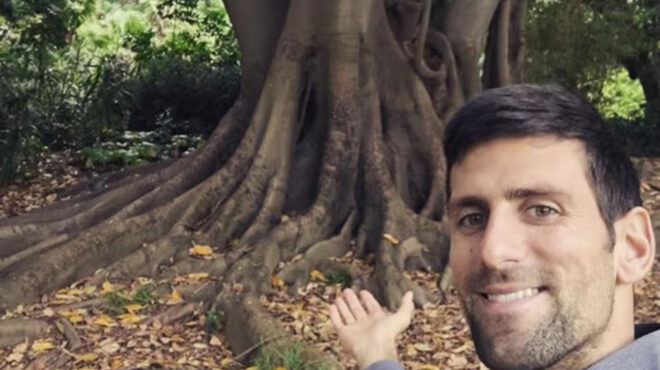 η-ξεχωριστή-ιστορία-αγάπης-του-νόβακ-τ-562835818