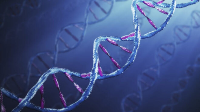 αρθρο-στ-αντωναράκη-στην-κ-θεραπεία-562834006