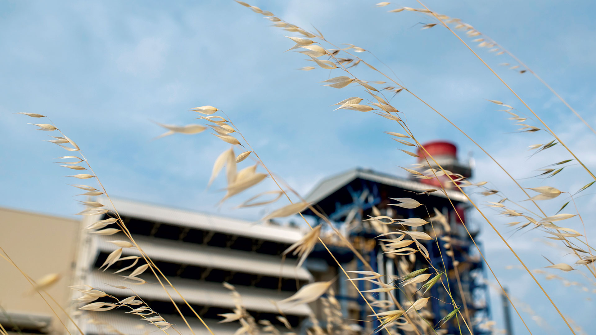 Κ – Παρουσίαση: MYTILINEOS – Γιατί βρίσκεται στο επίκεντρο της διεθνούς επενδυτικής προσοχής-1