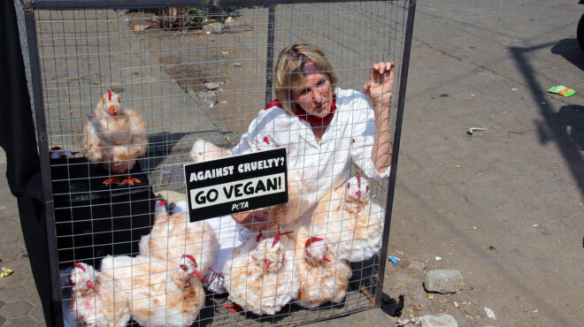 συνέντευξη-iνγκριντ-nιούκερκ-στην-κ-α-562853626