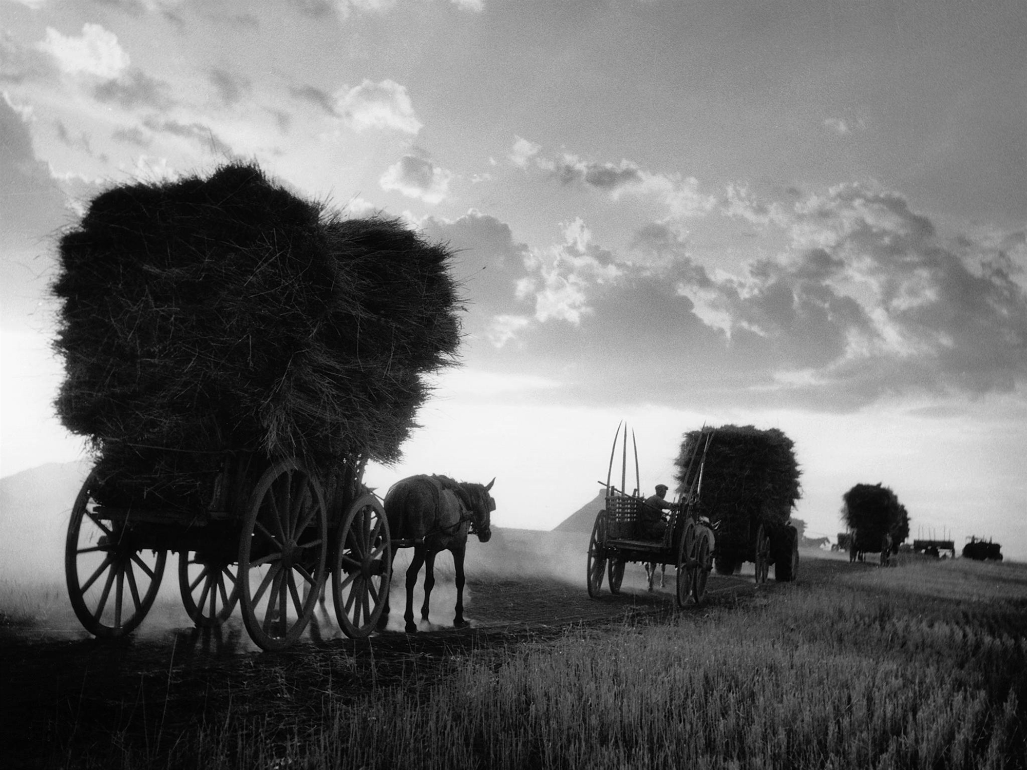 Τάκης Τλούπας: Τα μυστικά ενός μεγάλου φωτογράφου-1