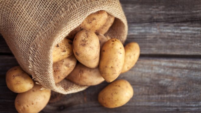 νόστιμοι-μύθοι-562828654