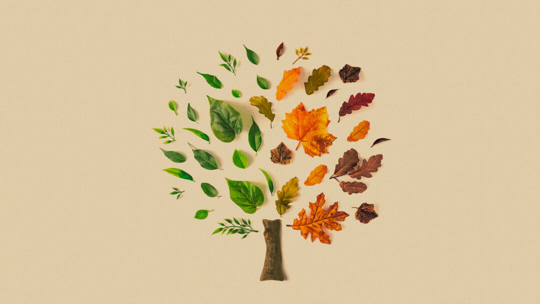 ζούμε-τρεις-εποχές-σε-μία-εβδομάδα-562830724