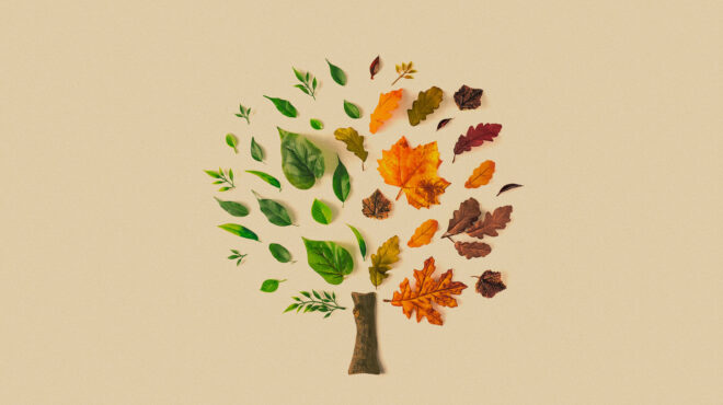 οι-24-περιοχές-που-πρωταγωνιστούν-στα-έκ-562830724