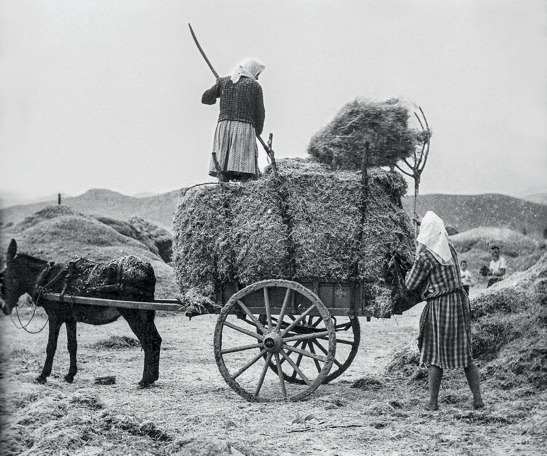 Π. Καννελόπουλος, Κ. Καραμανλής – Σύνδεσις της Ελλάδος με την Ε.Ο.Κ.-22