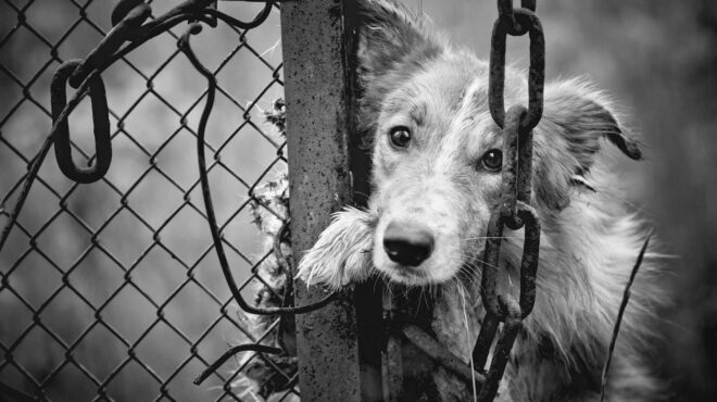 νέα-παρέμβαση-του-αρείου-πάγου-για-κακ-562855057