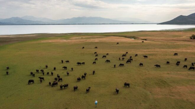 kerkini-farm-μια-οικογένεια-που-παράγει-κρέας-κα-562847752