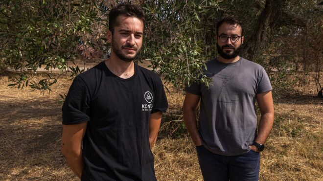 konos-βραβείο-ελαιολάδου-σε-ένα-κτήμα-του-έ-562844284