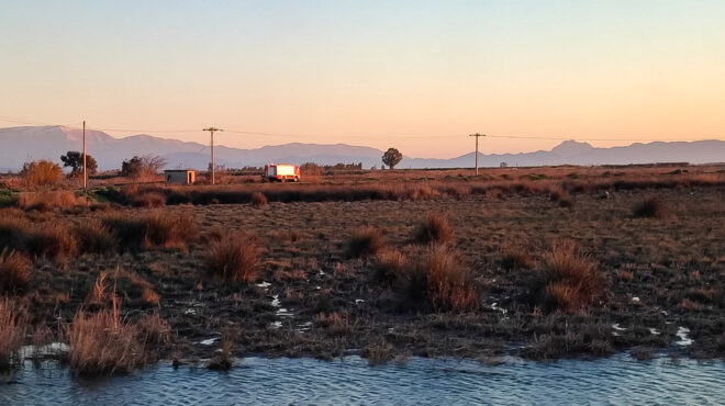 μεσολόγγι-οι-αντιφάσεις-του-κρεοπώλη-562843531