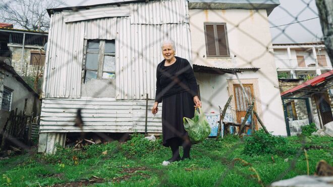 νάνες-το-άγριο-σπανάκι-της-πίνδου-562850533