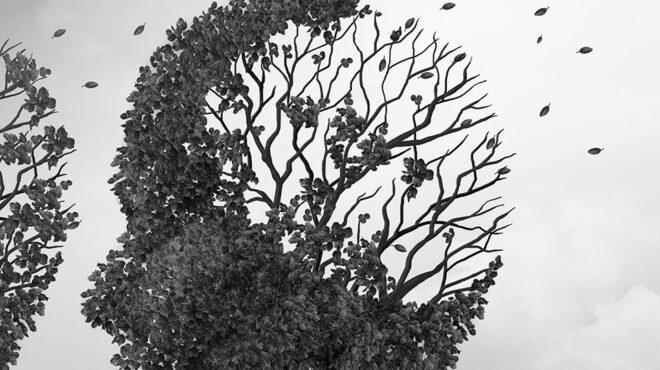 αλτσχάιμερ-πώς-μεταδόθηκε-ύστερα-α-562855228