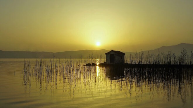 ανεκμετάλλευτος-θησαυρός-τα-πτηνά-γι-562813567